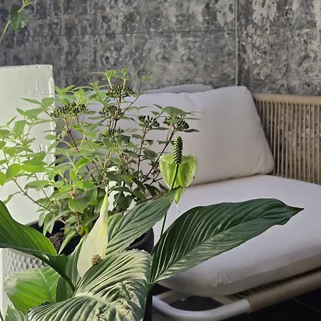 Memore Apartmanhotel 3*