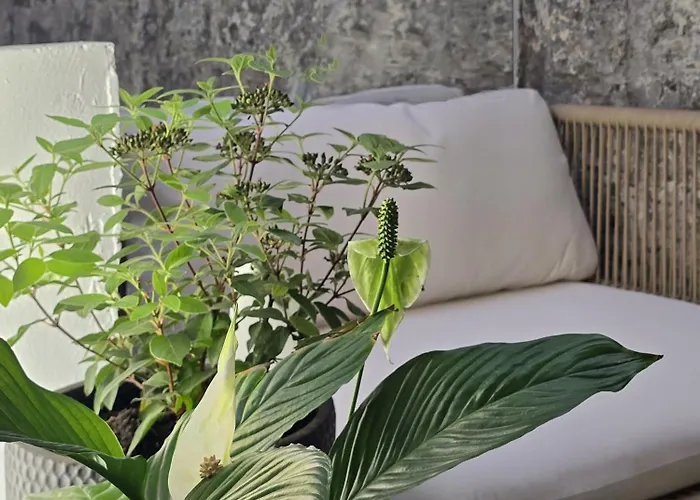 Memore 아파트호텔 3*